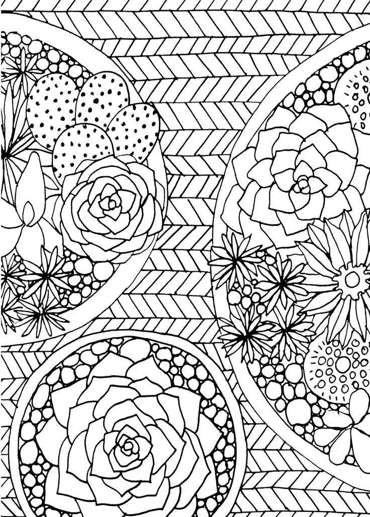 736x1029 20 Succulent Coloring Page Selection Free Coloring Pages