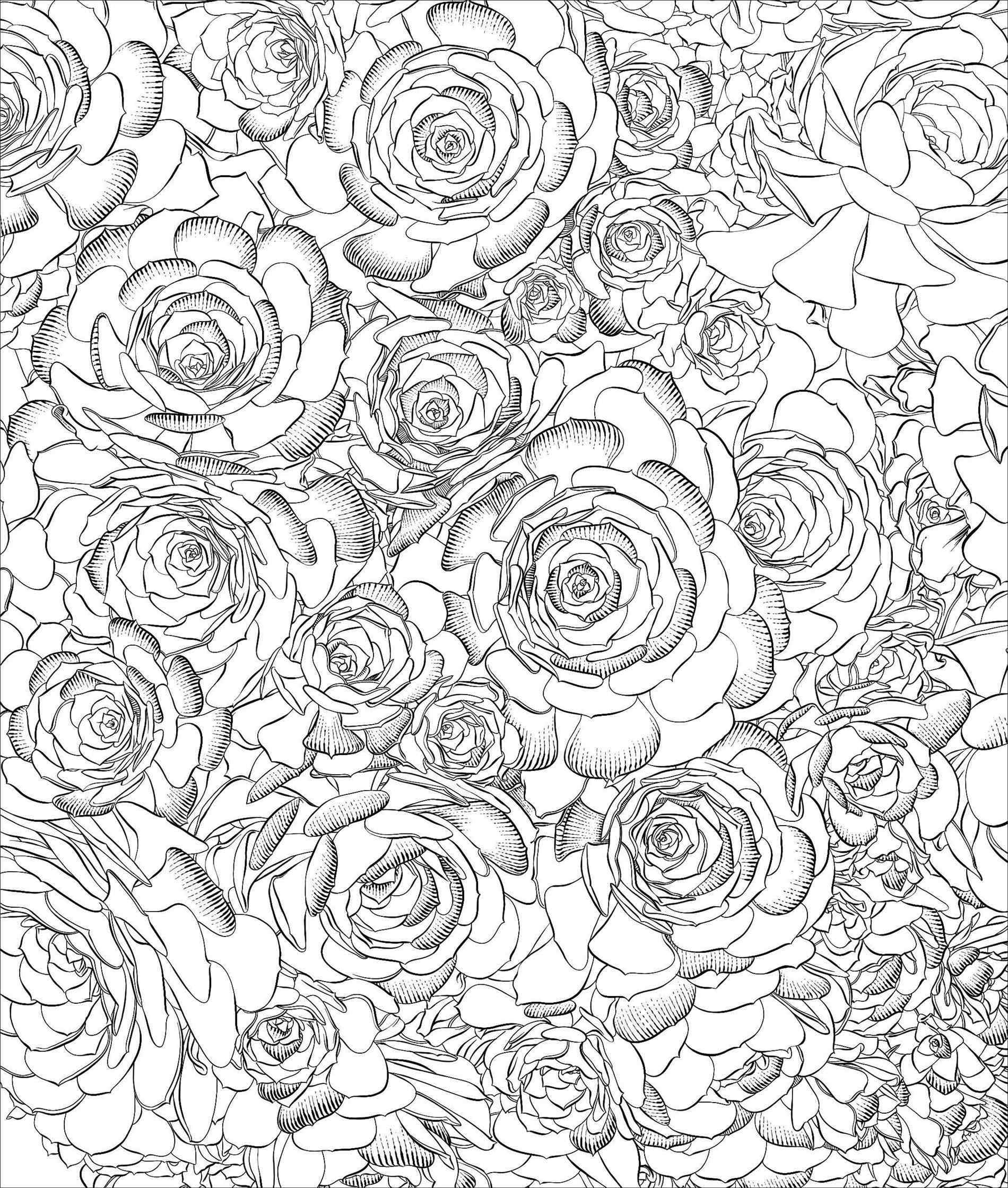 1900x2239 Pages U Samantha C Georgerhsamanthacgeorgecom Book Adult Older