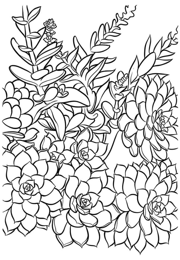 727x1047 Printable Rosette Succulent Coloring Cards