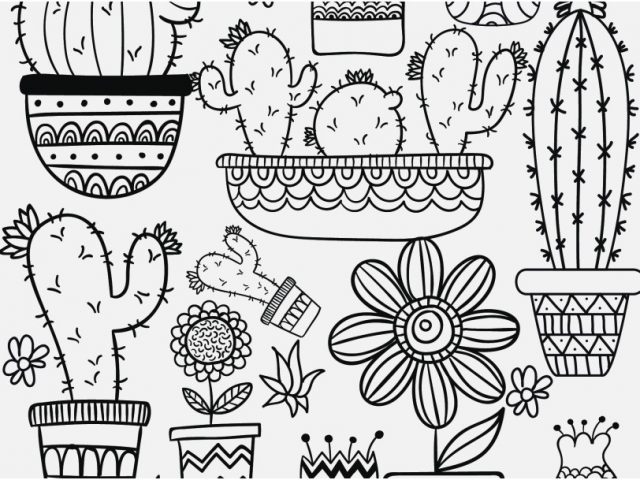 Succulent Coloring Page at GetColorings.com | Free printable colorings ...