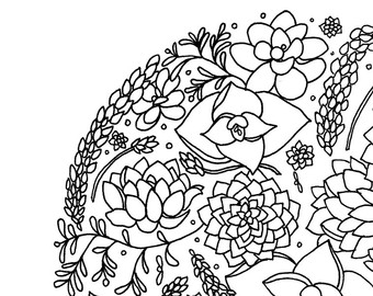 340x270 20 Succulent Coloring Page Selection Free Coloring Pages