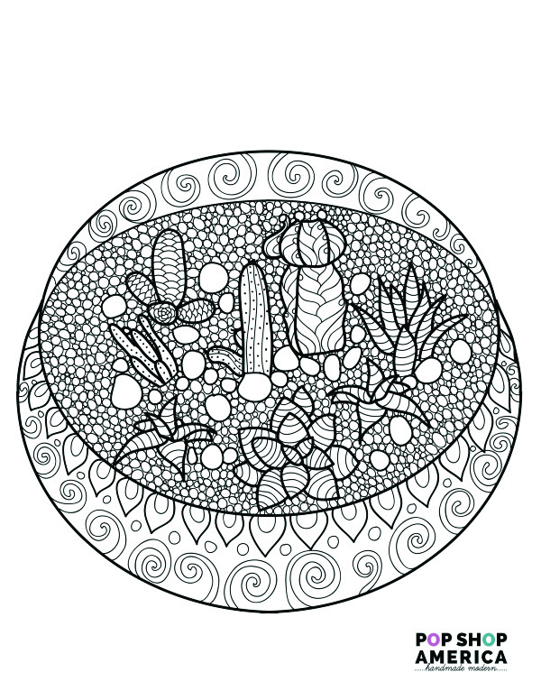 600x776 Succulent Terrarium Adult Coloring Page Free Printable Small Image
