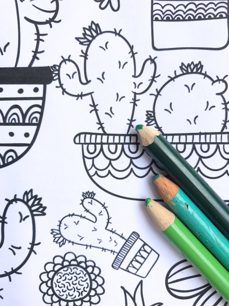 749x1000 Cactus And Succulent Printable Adult Coloring Pages