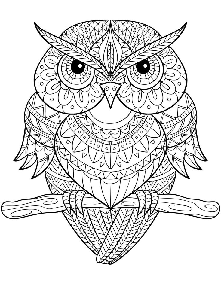 735x952 1703 Best Colouring Pages Images On Adult Coloring