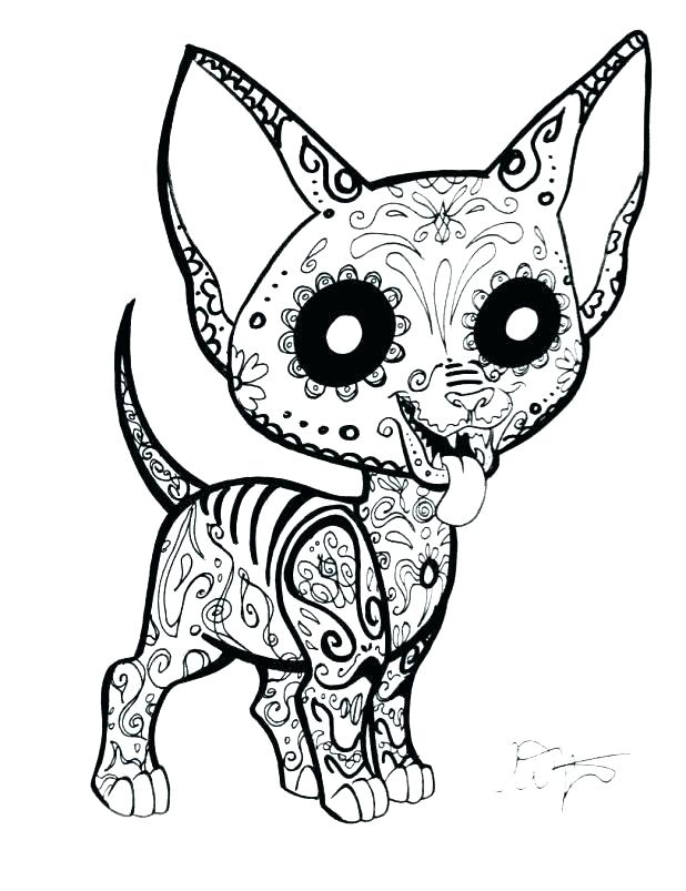 Sugar Skull Color Pages Skulls Coloring Pages Coloring Pages Skull 618x803 Sugar Skull Color Pages Skulls Coloring Pages Coloring Pages Skull