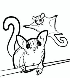 236x263 Sugar Glider Flying Squirrel Cuttable Design Cut File. Vector