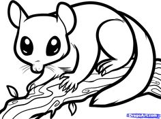 236x175 How To Draw A Sugar Glider, Sugar Glider How To Draw