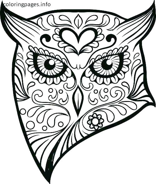 Sugar Skulls Coloring Pages Day The Dead Coloring Pages Day 500x592 Sugar Skulls Coloring Pages Day The Dead Coloring Pages Day