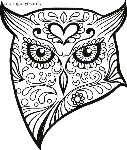 Free Sugar Skull Coloring Pages Sugar Skull Owl Coloring Sheet 500x592 Free Sugar Skull Coloring Pages Sugar Skull Owl Coloring Sheet