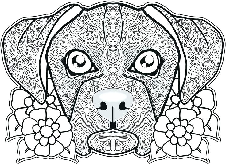 736x533 Sugar Skull Free Coloring Pages Gallery Skull Coloring Sheets