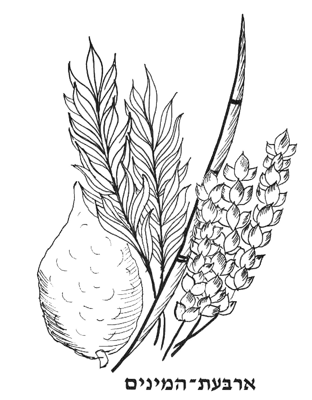 Sukkot Coloring 19.jpg 1092x1400 Sukkot Coloring 19.jpg