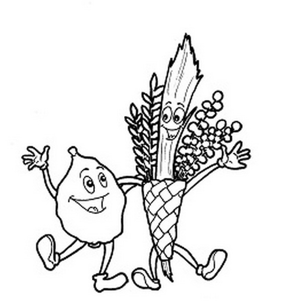 Sukkot Coloring Pages 569x607 Sukkot Coloring Pages