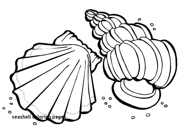 Seashell Coloring Pages Photo Gallery Of Summer Beach Coloring 600x442 Seashell Coloring Pages Photo Gallery Of Summer Beach Coloring