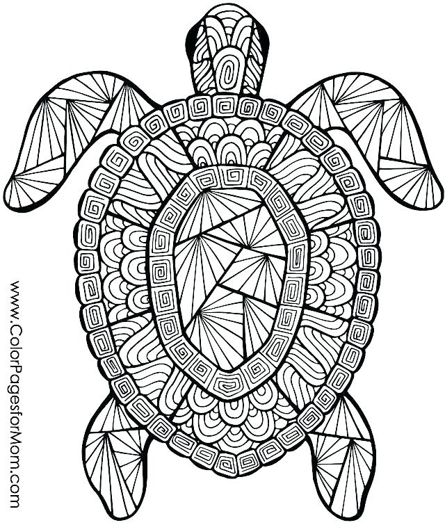 Free Summer Coloring Sheets Free Printable Summer Olympic Coloring 640x755 Free Summer Coloring Sheets Free Printable Summer Olympic Coloring
