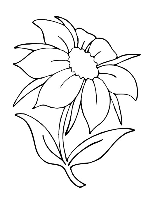 548x685 Summer Flowers Coloring Page