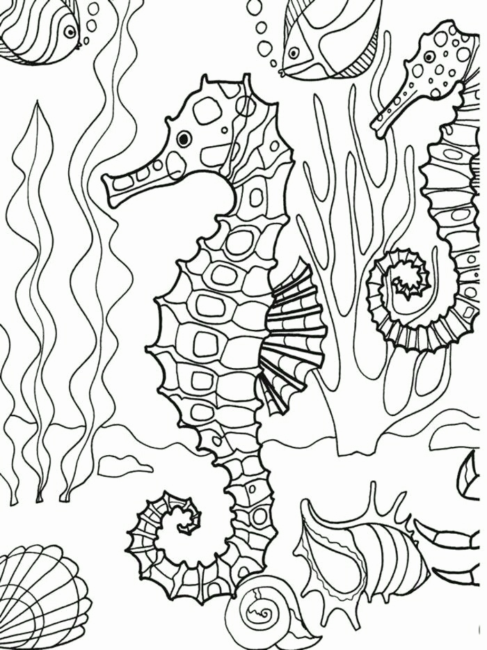 Adult Coloring Pages Beach Image Beach Coloring Pages For Adults 700x934 Adult Coloring Pages Beach Image Beach Coloring Pages For Adults
