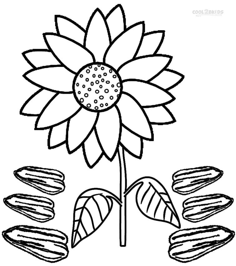 Printable Sunflower Coloring Pages For Kids Cool2bkids Plant 756x850 Printable Sunflower Coloring Pages For Kids Cool2bkids Plant