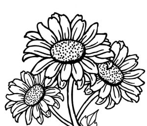 Realistic Sunflower Coloring Page Free Download 300x257 Realistic Sunflower Coloring Page Free Download