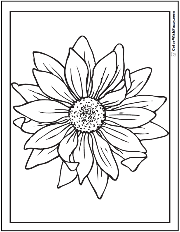 Sunflower Coloring Page Pdf Printables 590x762 Sunflower Coloring Page Pdf Printables