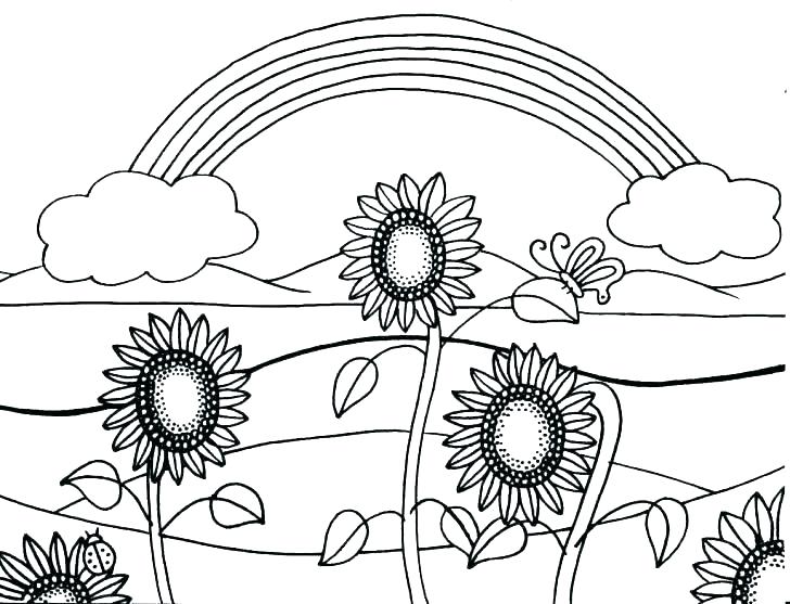 Sunflower Coloring Pages Color By Number Sunflower Coloring Page 728x557 Sunflower Coloring Pages Color By Number Sunflower Coloring Page