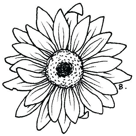 Sunflower Coloring Pages Sunflowers Coloring Pages Printable 462x462 Sunflower Coloring Pages Sunflowers Coloring Pages Printable