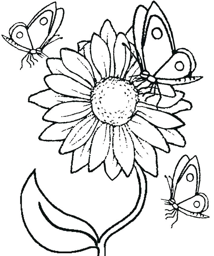 Sunflowers Coloring Pages Van Van Gogh Sunflower Colouring Pages 708x850 Sunflowers Coloring Pages Van Van Gogh Sunflower Colouring Pages