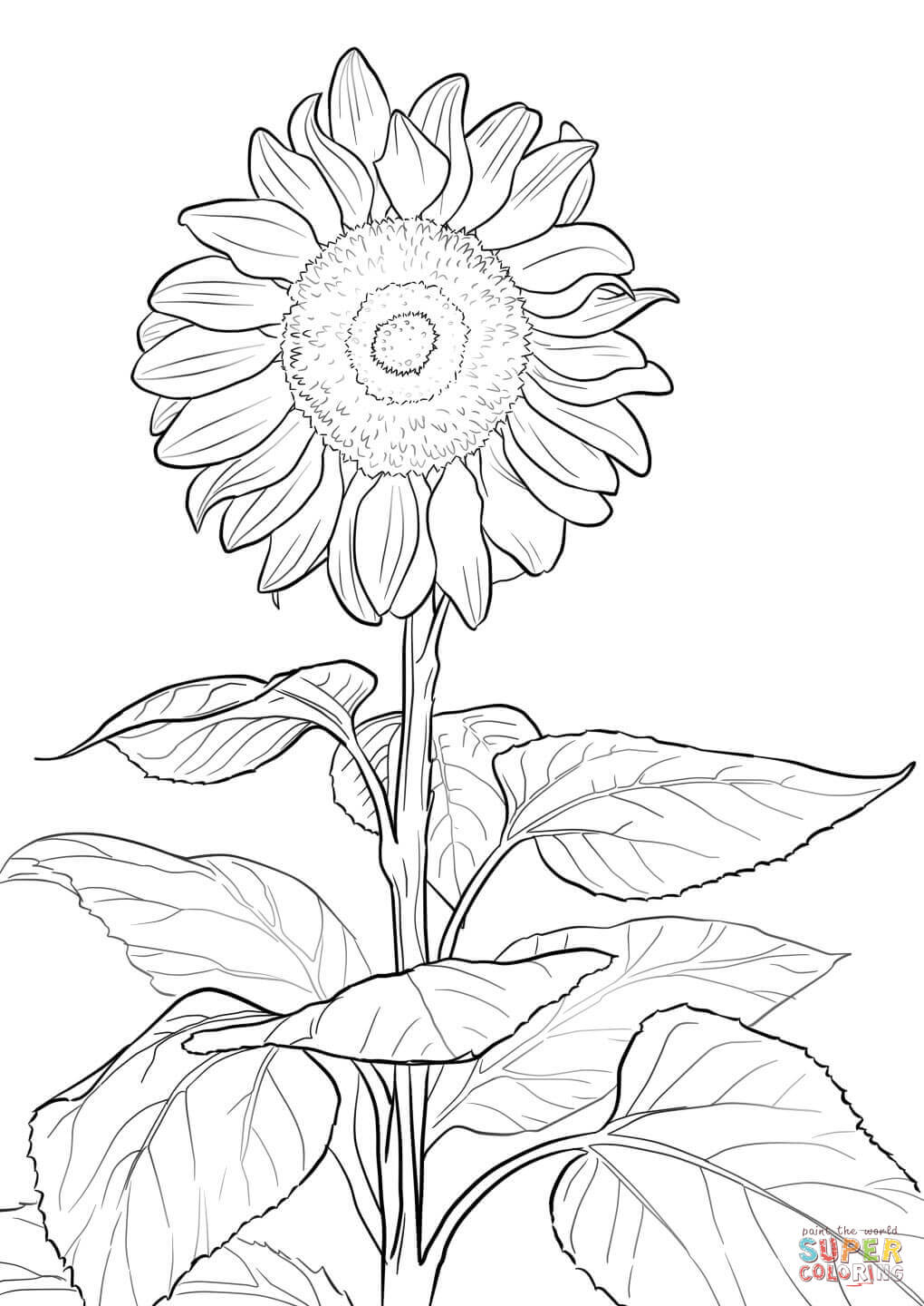 1020x1440 Practical Sunflower Coloring Page Free Printab