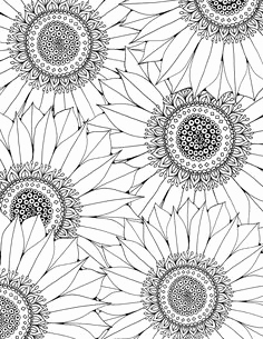 236x305 152 Best Sunflowers Images On Sunflower Coloring Pages