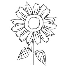 Sunflower Coloring Pages For Kids