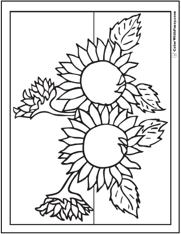 590x762 Sunflower Coloring Page Pdf Printables