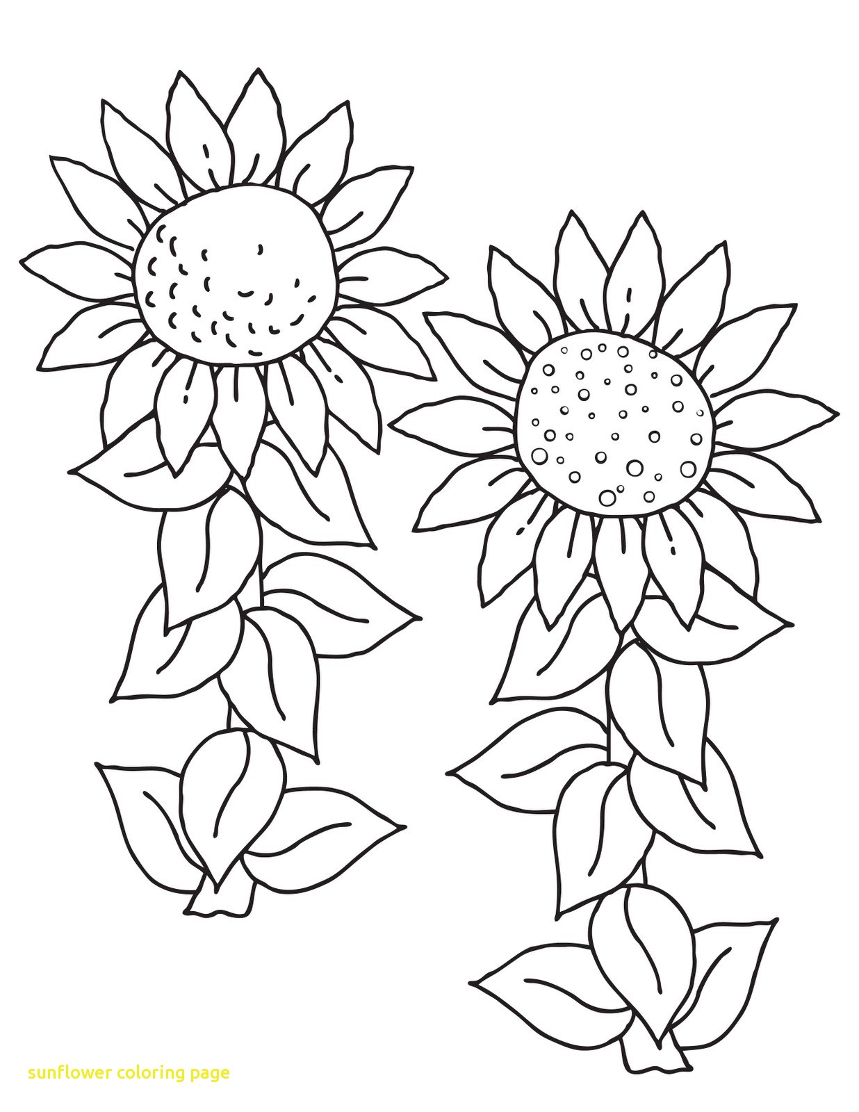 1236x1600 Sunflower Coloring Page With Free Printable Sunflower Coloring