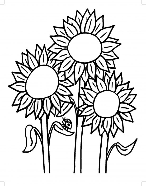 615x784 Sunflower Coloring Pages For Kids Coloring Pages Kids Sunflower