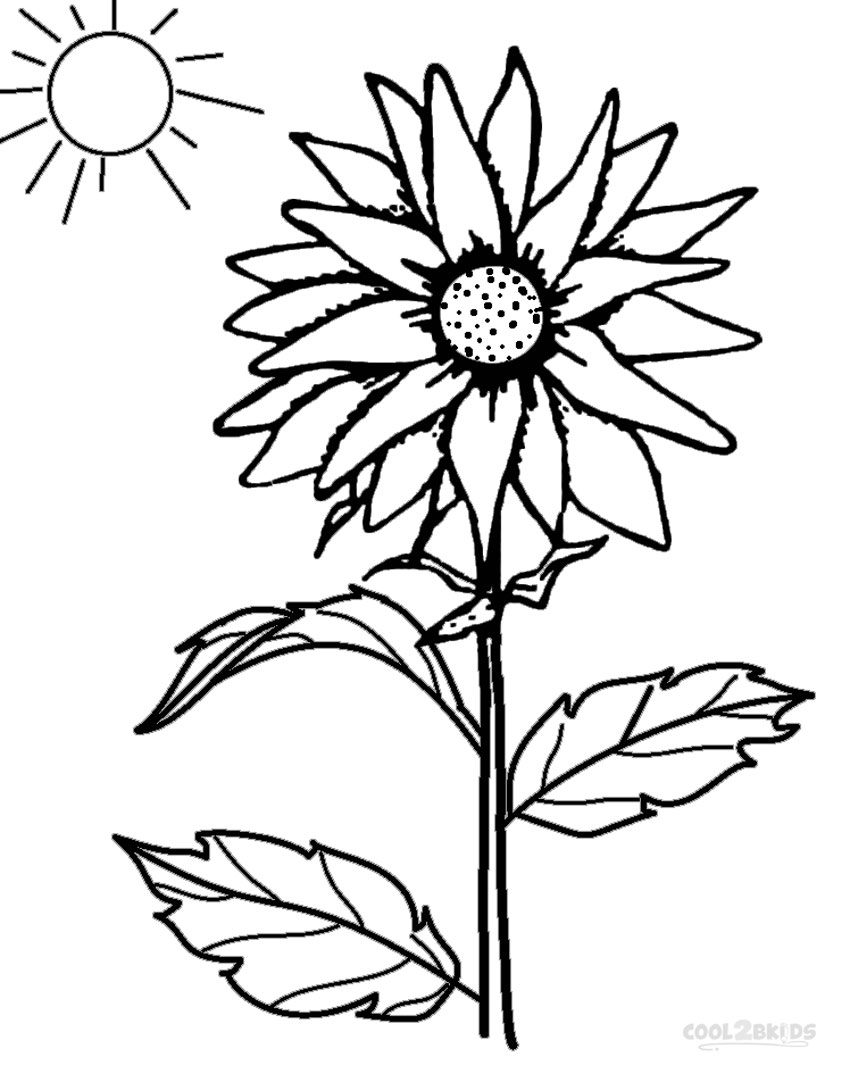 850x1082 Printable Sunflower Coloring Pages For Kids Cool2bkids Sunflower
