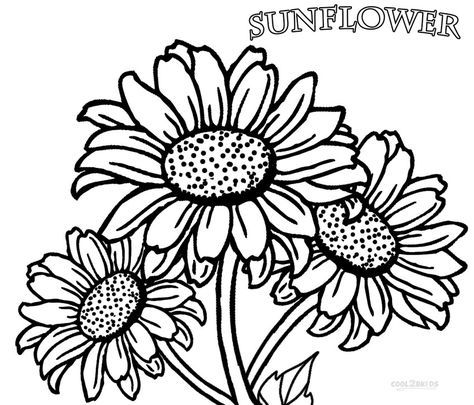 474x405 Printable Sunflower Coloring Pages For Kids Cool2bkids Color