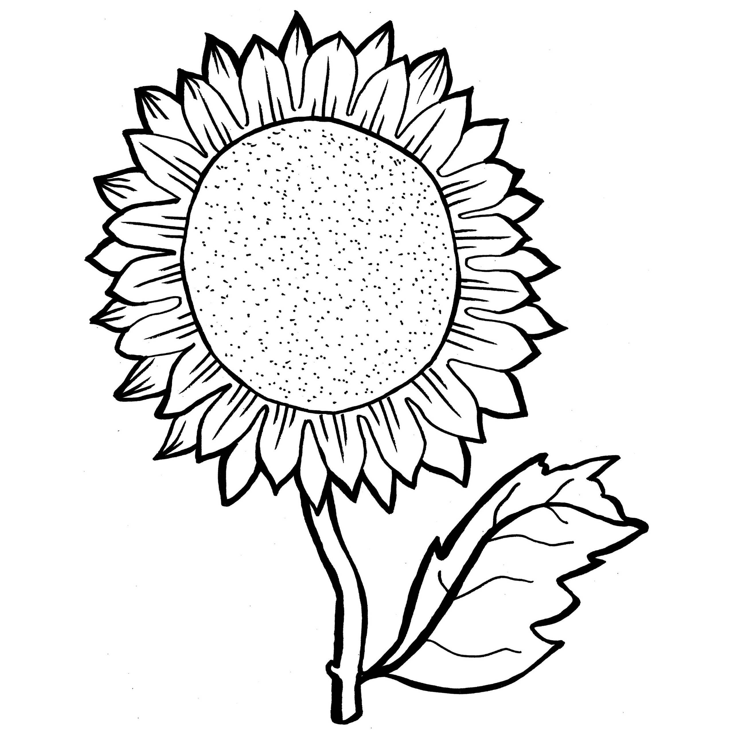 2560x2560 Sunflower Coloring Pages Printable Archives Best Of New