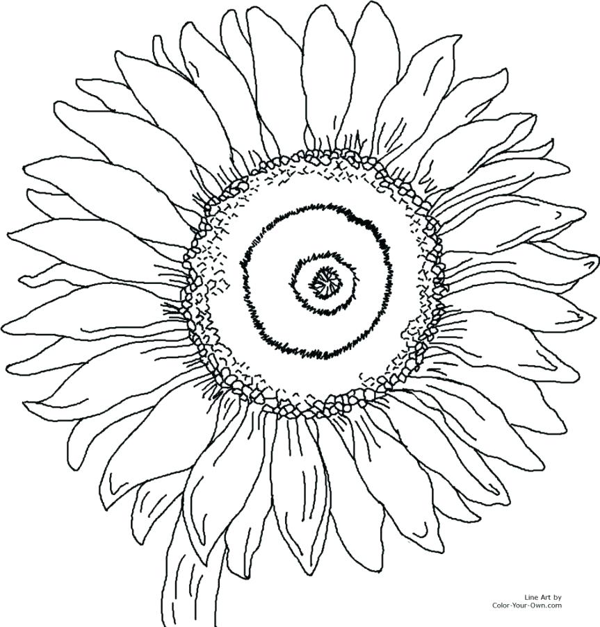 863x903 Sunny The Sunflower Coloring Page Free Printable Summer Pages