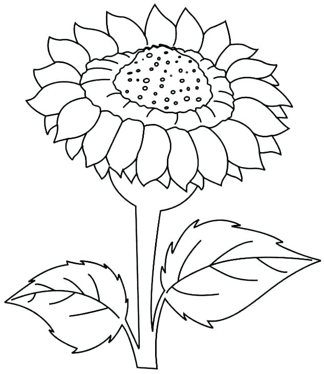 Sunrise Coloring Page at GetColorings.com | Free printable colorings ...