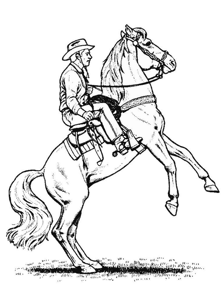 20 Best Horse Riding Images On Horse Riding, Kids Net 736x981 20 Best Horse Riding Images On Horse Riding, Kids Net