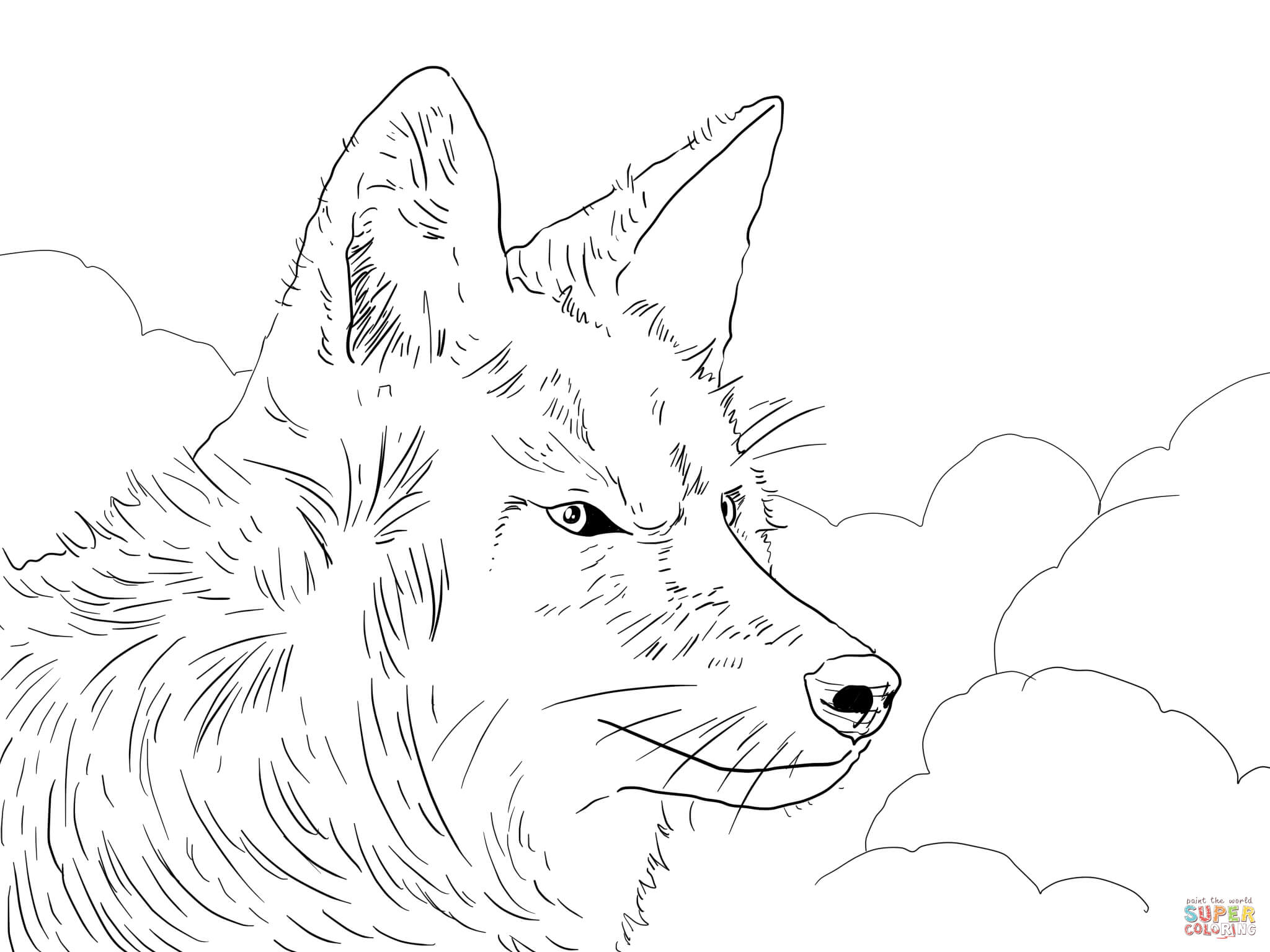 Wondrous Design Super Coloring Pages Coyote Head Page Free 2048x1536 Wondrous Design Super Coloring Pages Coyote Head Page Free