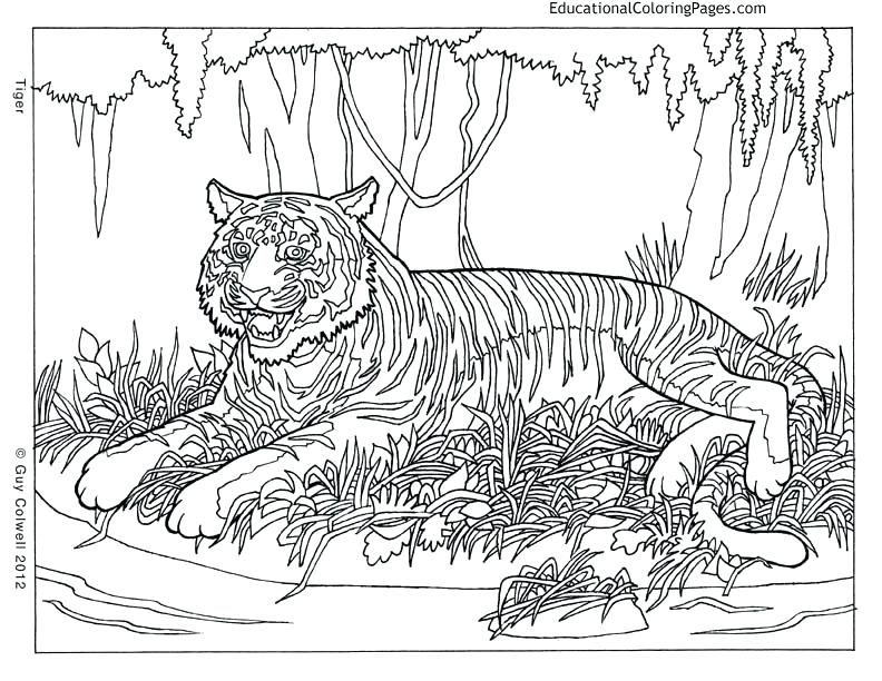 Super Hard Coloring Pages at GetColorings.com | Free printable ...