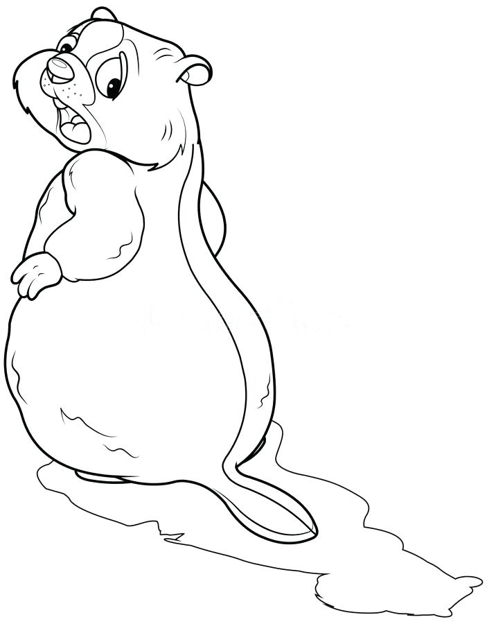 703x900 Groundhog Looking At His Shadow Coloring Page Stock Vector