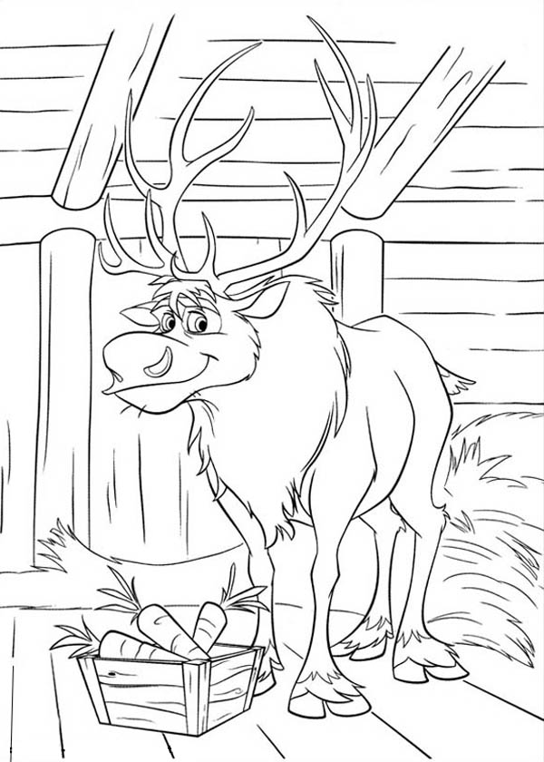 Sven Eating Carrots Free Coloring Page Disney, Frozen, Kids 600x840 Sven Eating Carrots Free Coloring Page Disney, Frozen, Kids