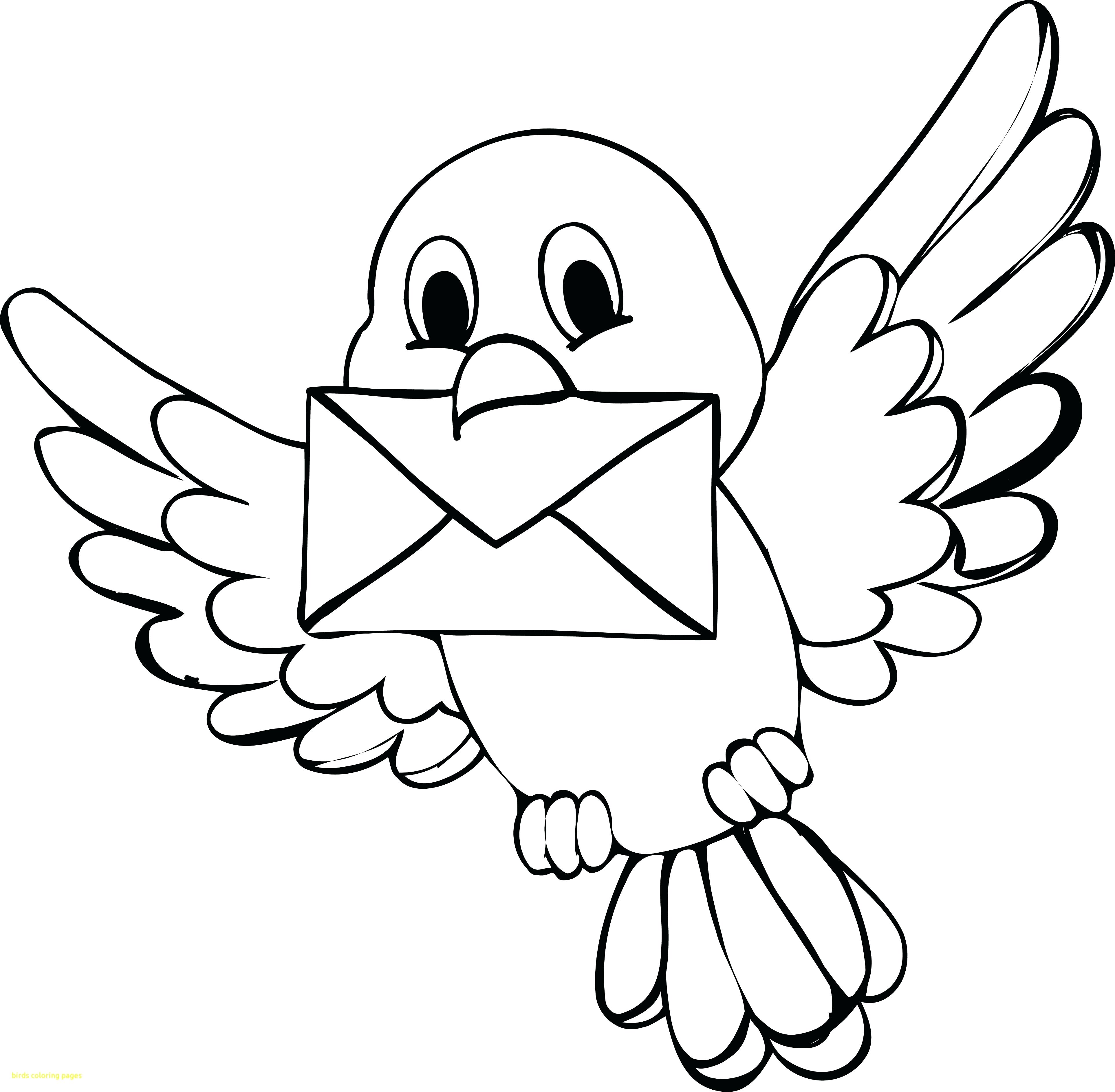 3851x3773 Coloring Pages Birds Flying Fresh Swallow Page 1