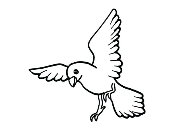 600x460 Coloring Pages Of Birds Flying Coloring Pictures Of Birds Flying