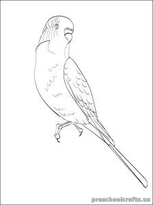 224x300 19 Best Swallow Coloring Pages Images On Kindergarten