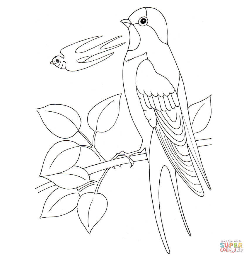 850x884 Swallow Pattern Coloring Page