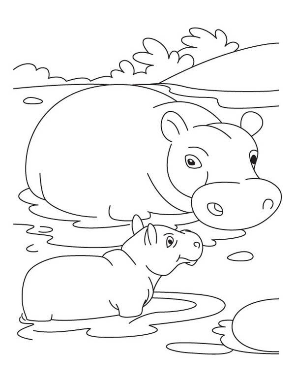 Mother Hippo And Baby In The Swamp Coloring Page Babies 600x776 Mother Hippo And Baby In The Swamp Coloring Page Babies