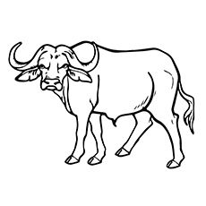 Top 10 Free Printable Buffalo Coloring Pages Online 230x230 Top 10 Free Printable Buffalo Coloring Pages Online