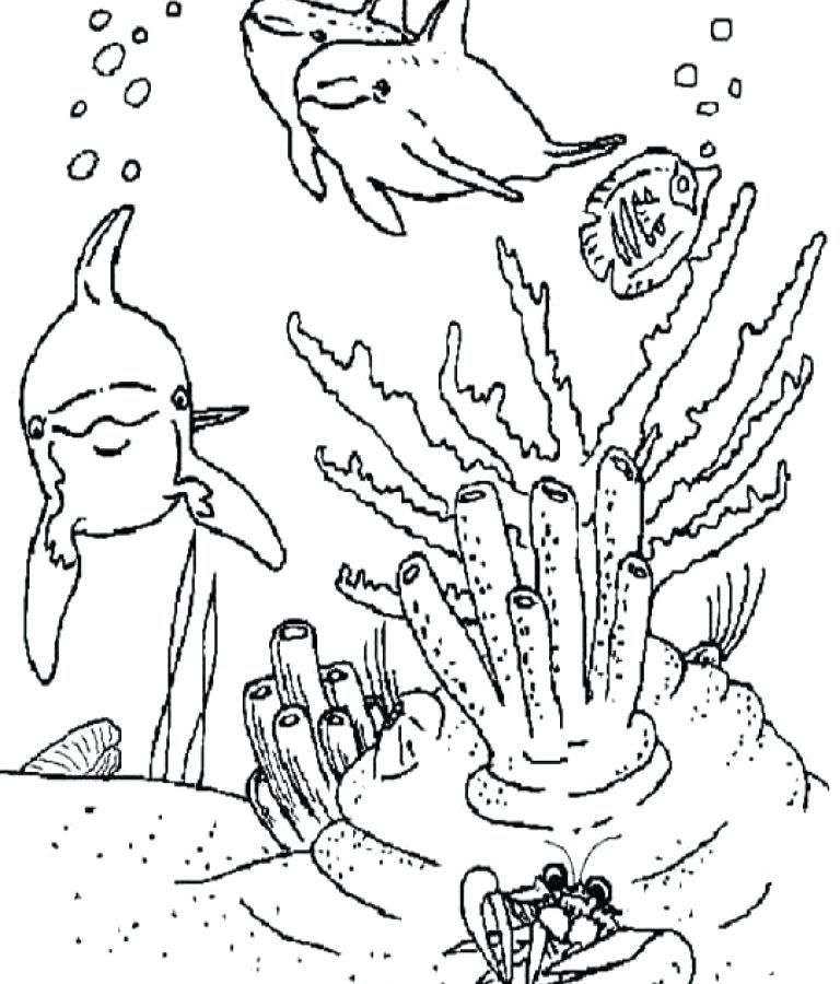 Swamp Animals Coloring Pages at GetColorings.com | Free printable ...