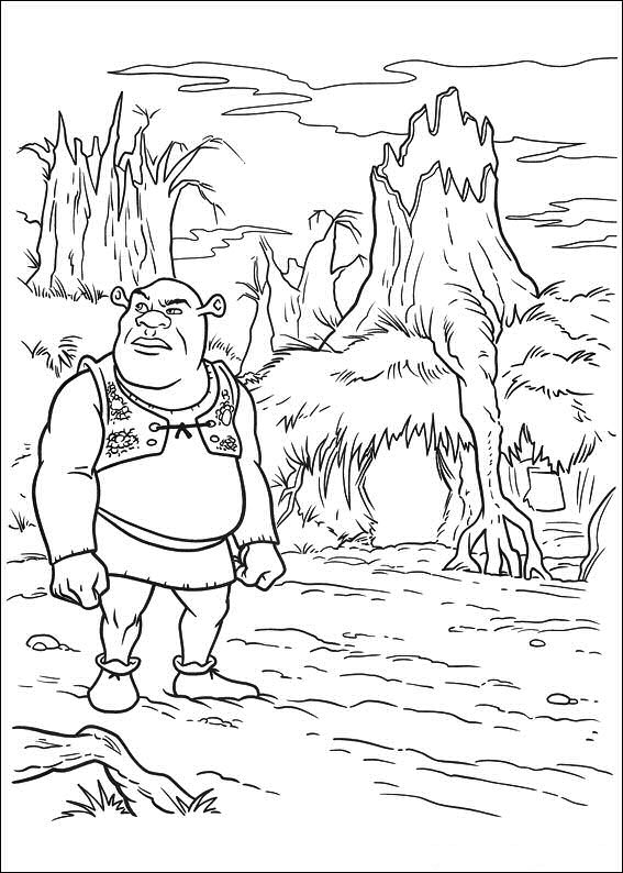 Coloring Pages Beautiful Swamp Coloring Pages Shrek 4 13 Swamp 567x794 Coloring Pages Beautiful Swamp Coloring Pages Shrek 4 13 Swamp